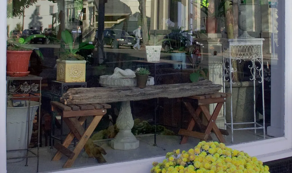 Vitrine de loja com poucos objetos bem arrumados, vasos de plantas e flores amarelas na frente